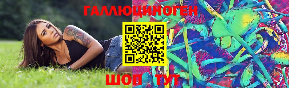 Галлюциногенные грибы мицелий Александров