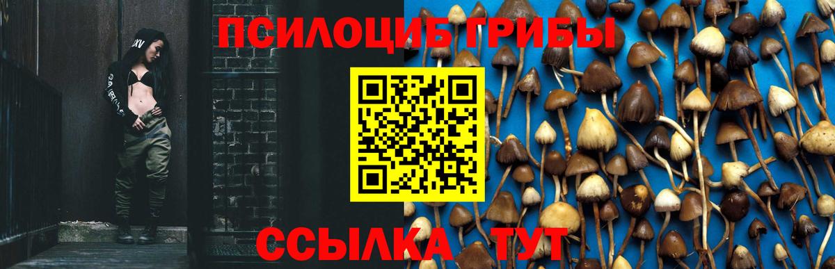 Александров  Галлюциногенные грибы мухоморы  Вход с VPN  Псилоцибиновые грибы Psilocybe 
